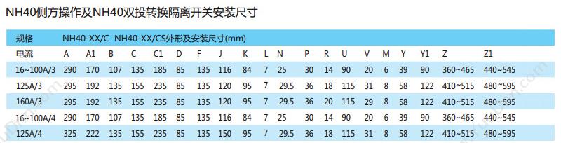 正泰 CHINT NH40-32/3 NH40 32A 柜内操作 隔离开关