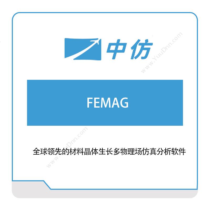 中仿科技FEMAG仿真软件